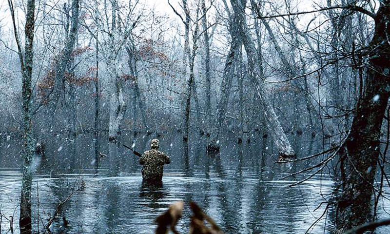Earl Buss-Bayou DeView Wildlife Management Area