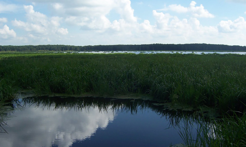 Wapanocca Lake
