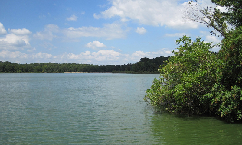 Lake Hogue