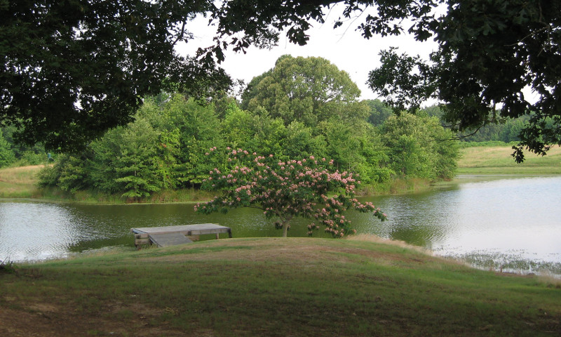 Bayou LaGrue Lodge