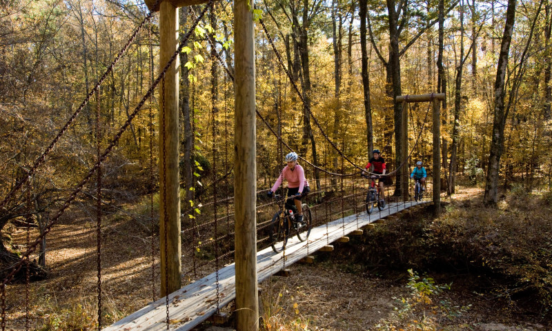 Mountain biking on the Cane Creek Lake Trail