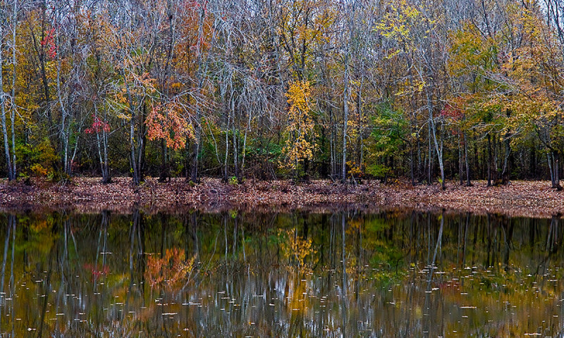 Sheffield Nelson Dagmar Wildlife Management Area
