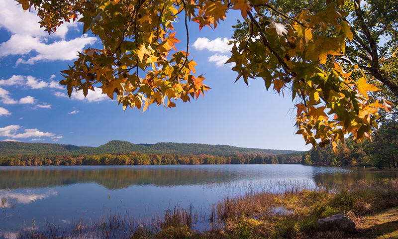 Arkansas Cove Lake: Your Gateway to Ozark Mountain Serenity