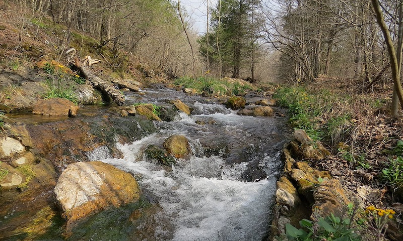Rock Creek Natural Area