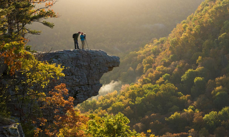 Whitaker Point