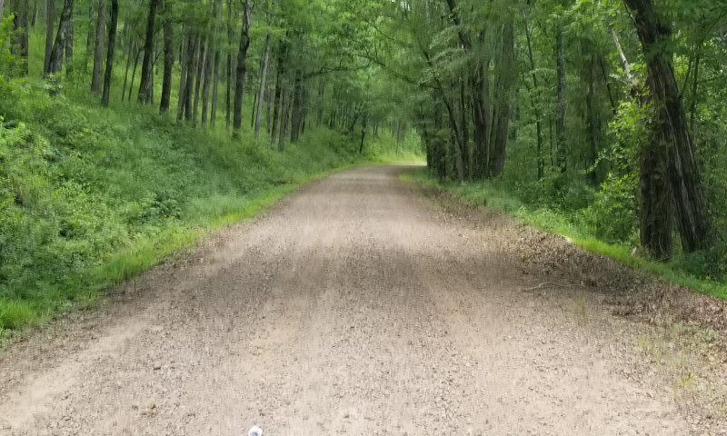 Bikepacking the Arkansas High Country Route: Richland Creek Wilderness