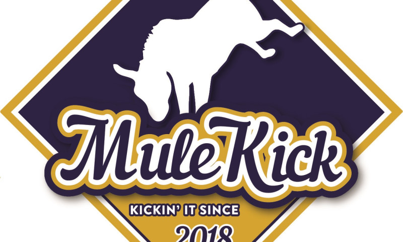Mule Kick