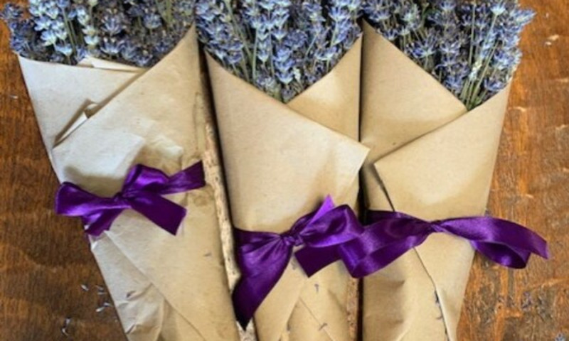 Lavender wrapped in brown paper tied with a purple bow