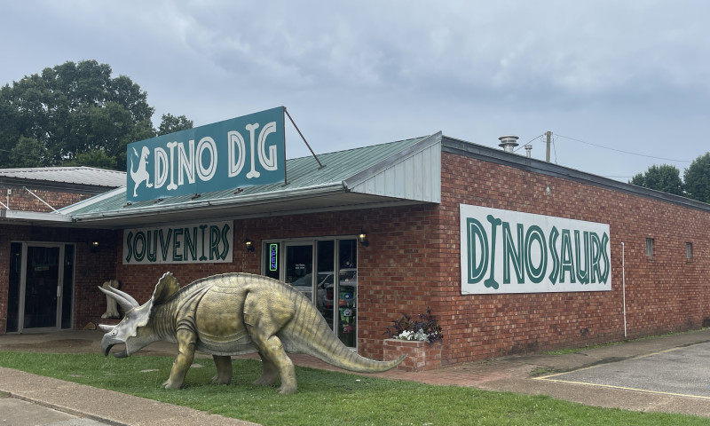 Triceratops dinosaur stands guard outside the Dino Dig building.