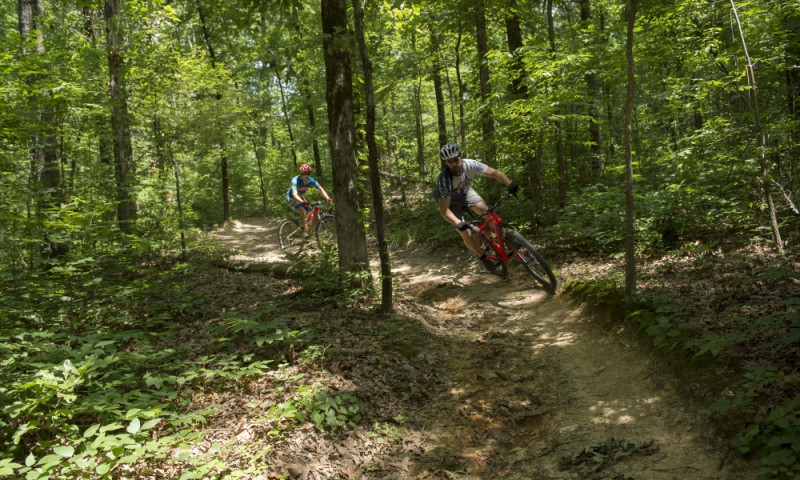 forest park bike trails