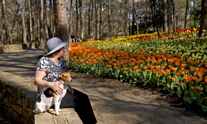 Garvan Woodland Gardens