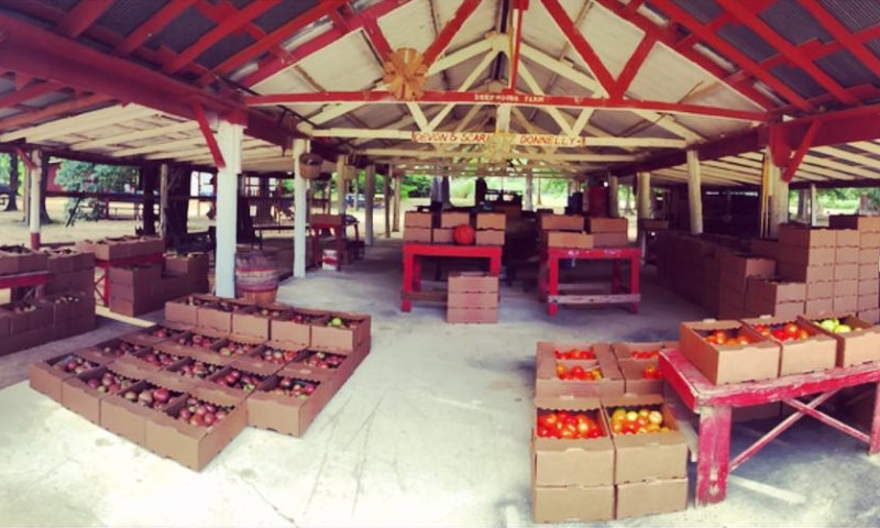 Deepwoods Farm