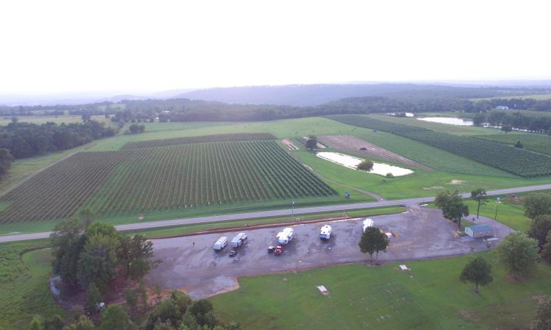 Dahlem Vineyard
