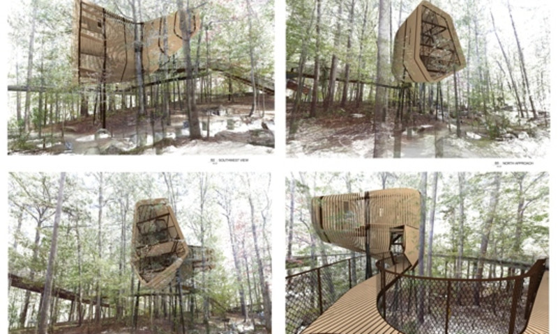 The Great Tree House Adventure Arkansas Com