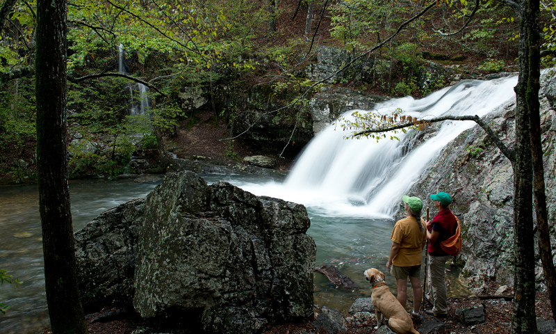 Falls Branch Trail hike passes by the Falls Creek Falls