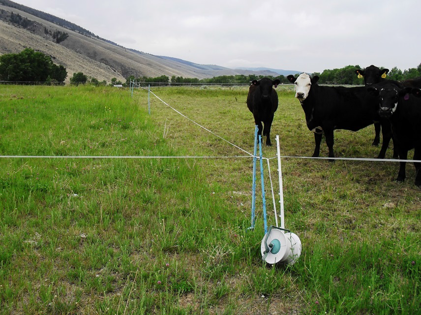 Fencing Systems for Rotational Grazing: Key Components for Success