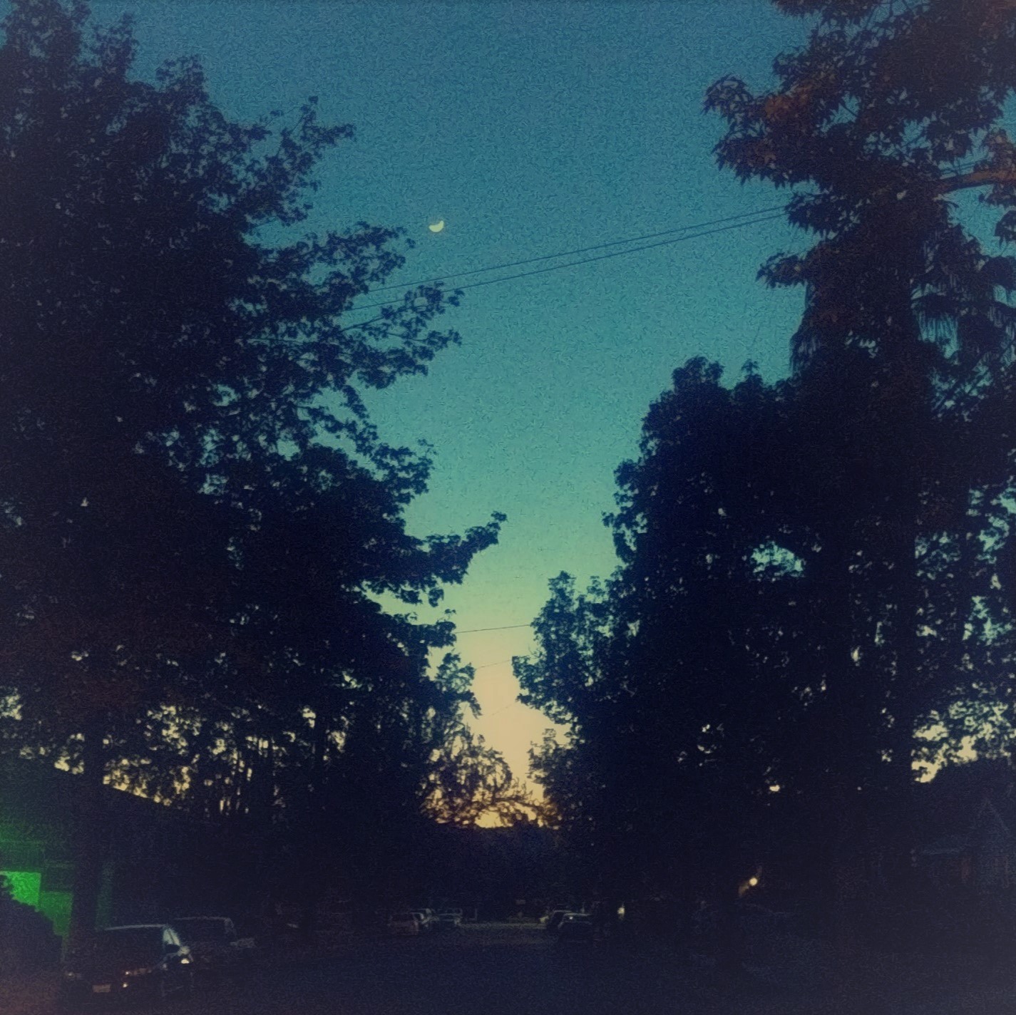 Warm evening in Los Angeles neighborhood