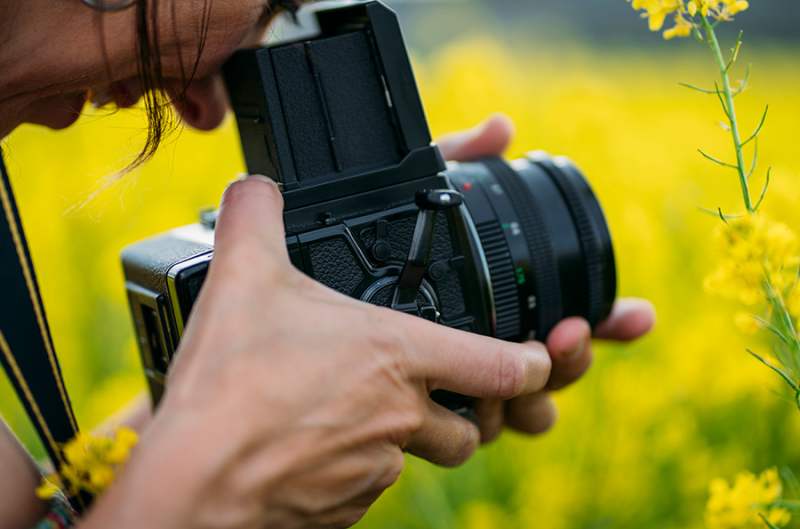 Woman taking picture in field