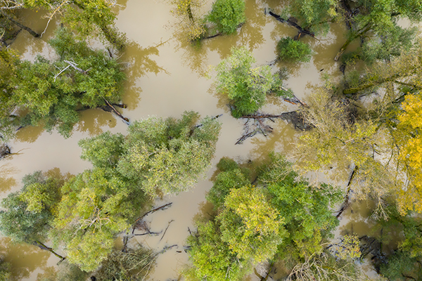Flooded neighborhood scanned by drone for emergency services
