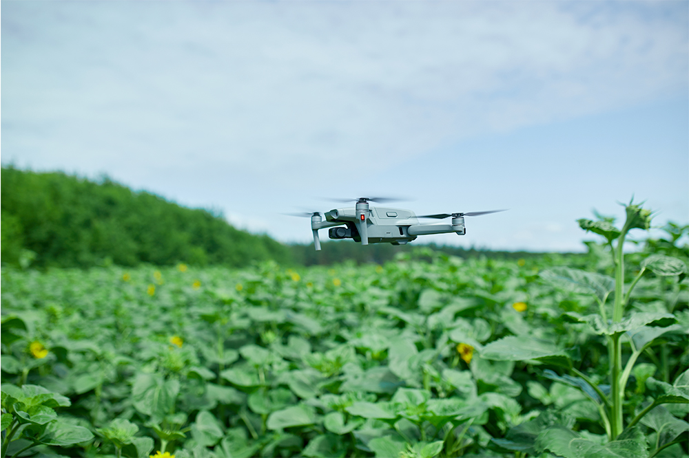 NDVI drone scan of a farm field in false-color heatmap