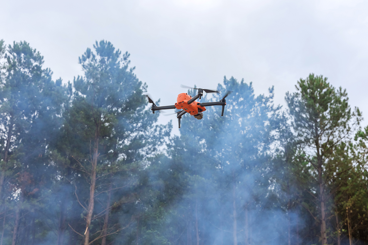 Thermal drone view of forest fire risk zone