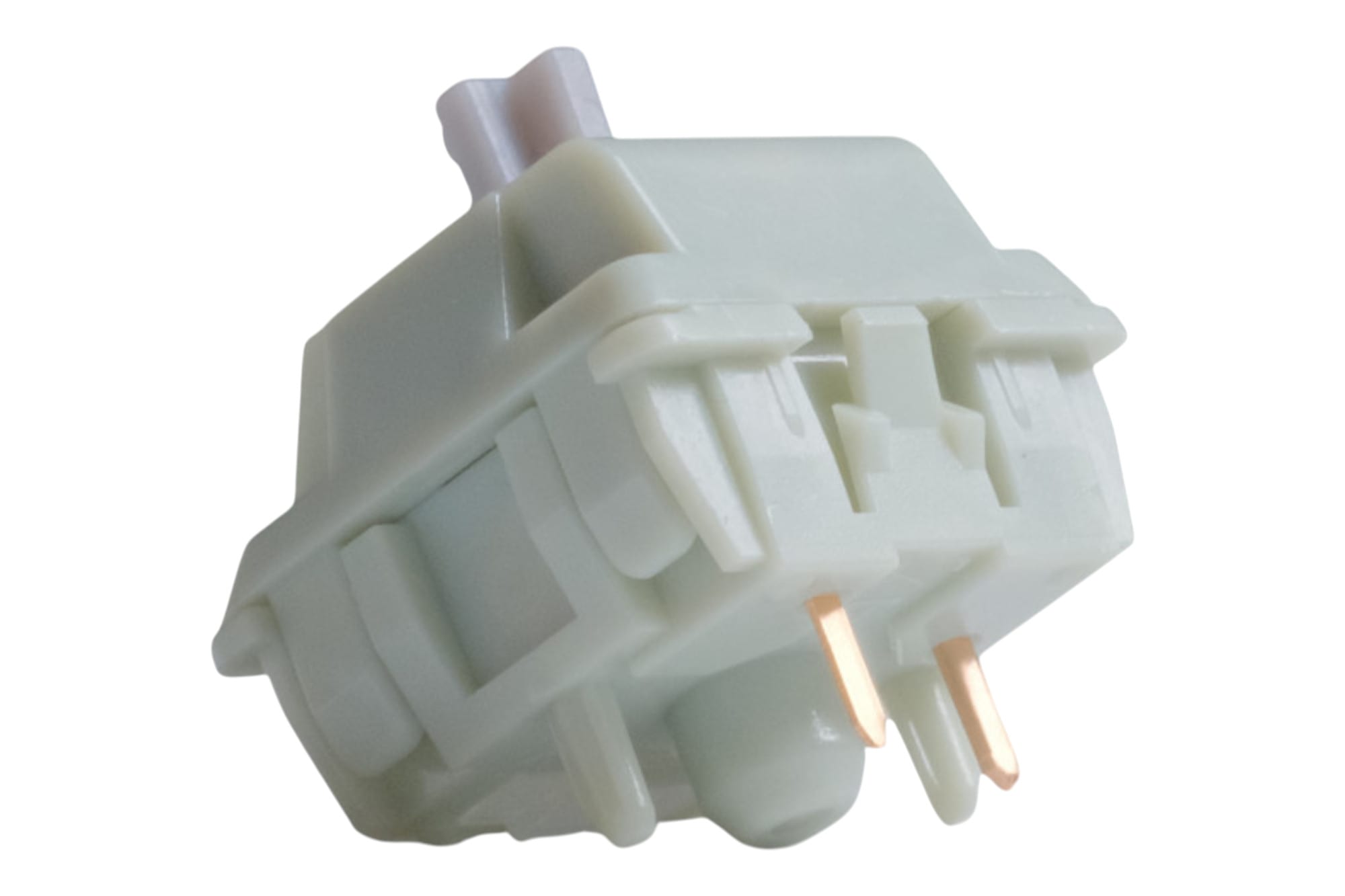 Wingtree Qingyan Tactile Switch