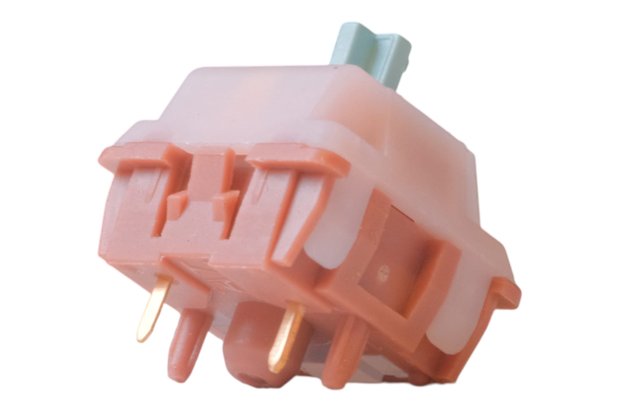 Wingtree Gardenside Tactile Switch