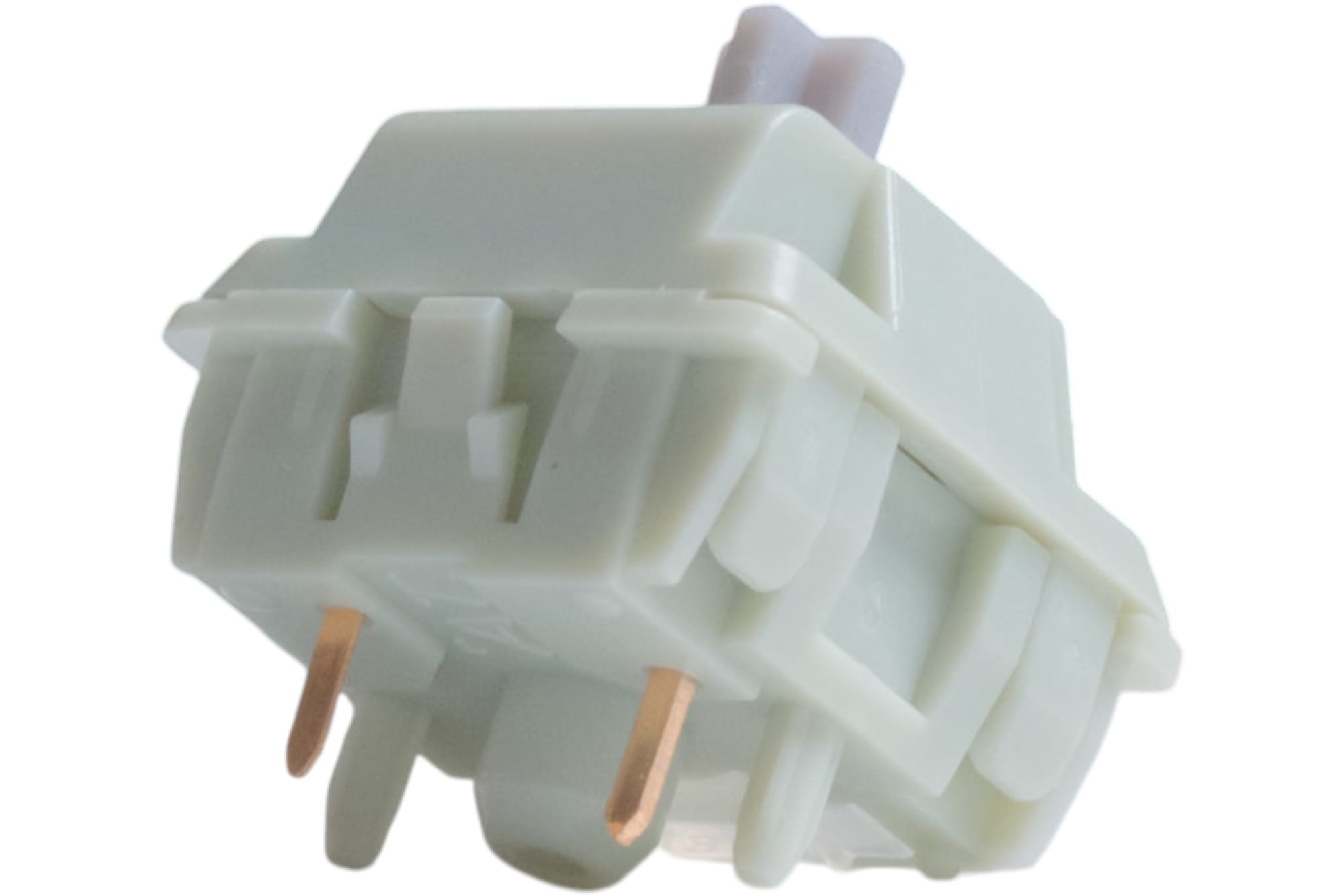 Wingtree Qingyan Tactile Switch