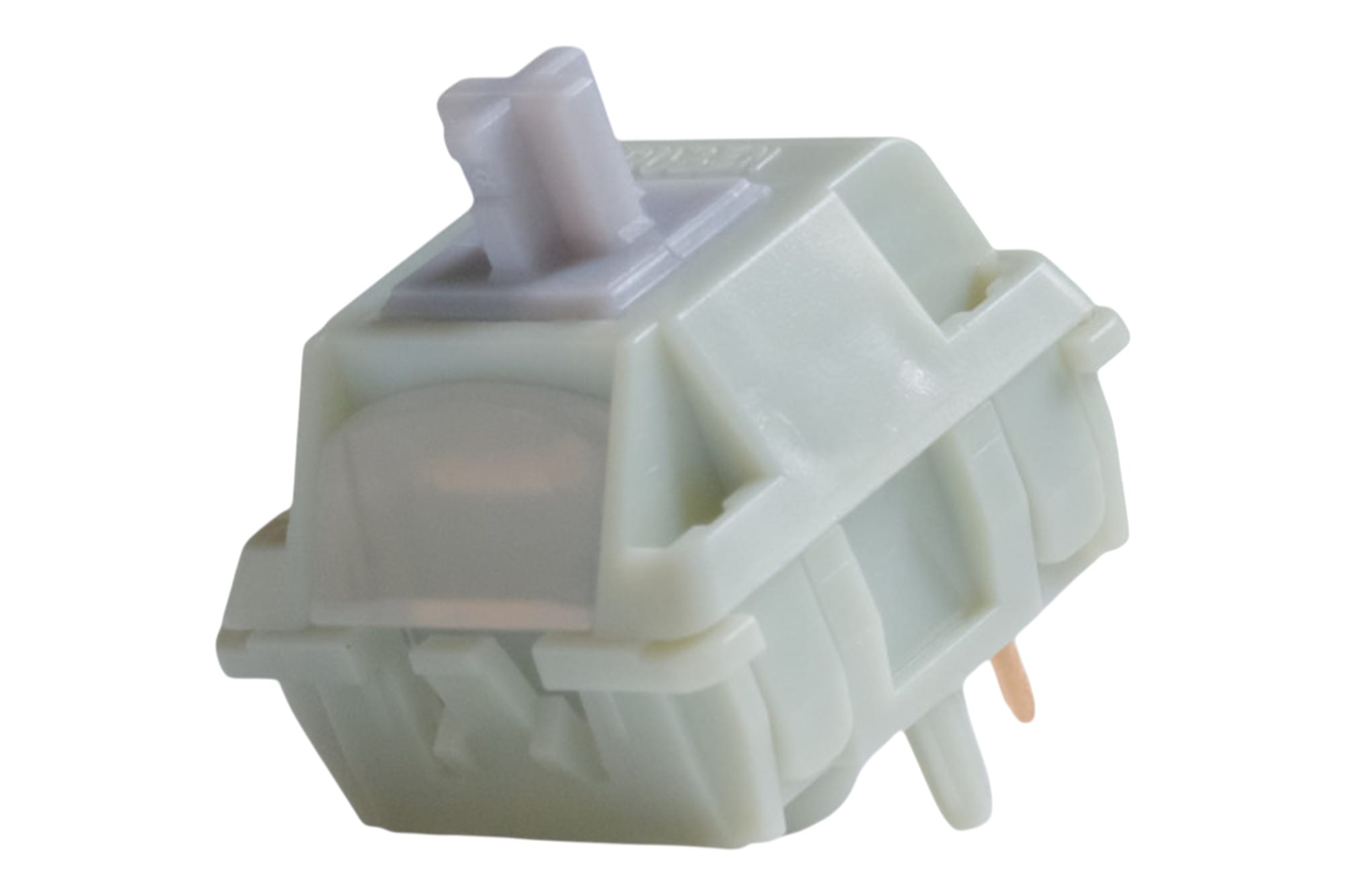 Wingtree Qingyan Tactile Switch