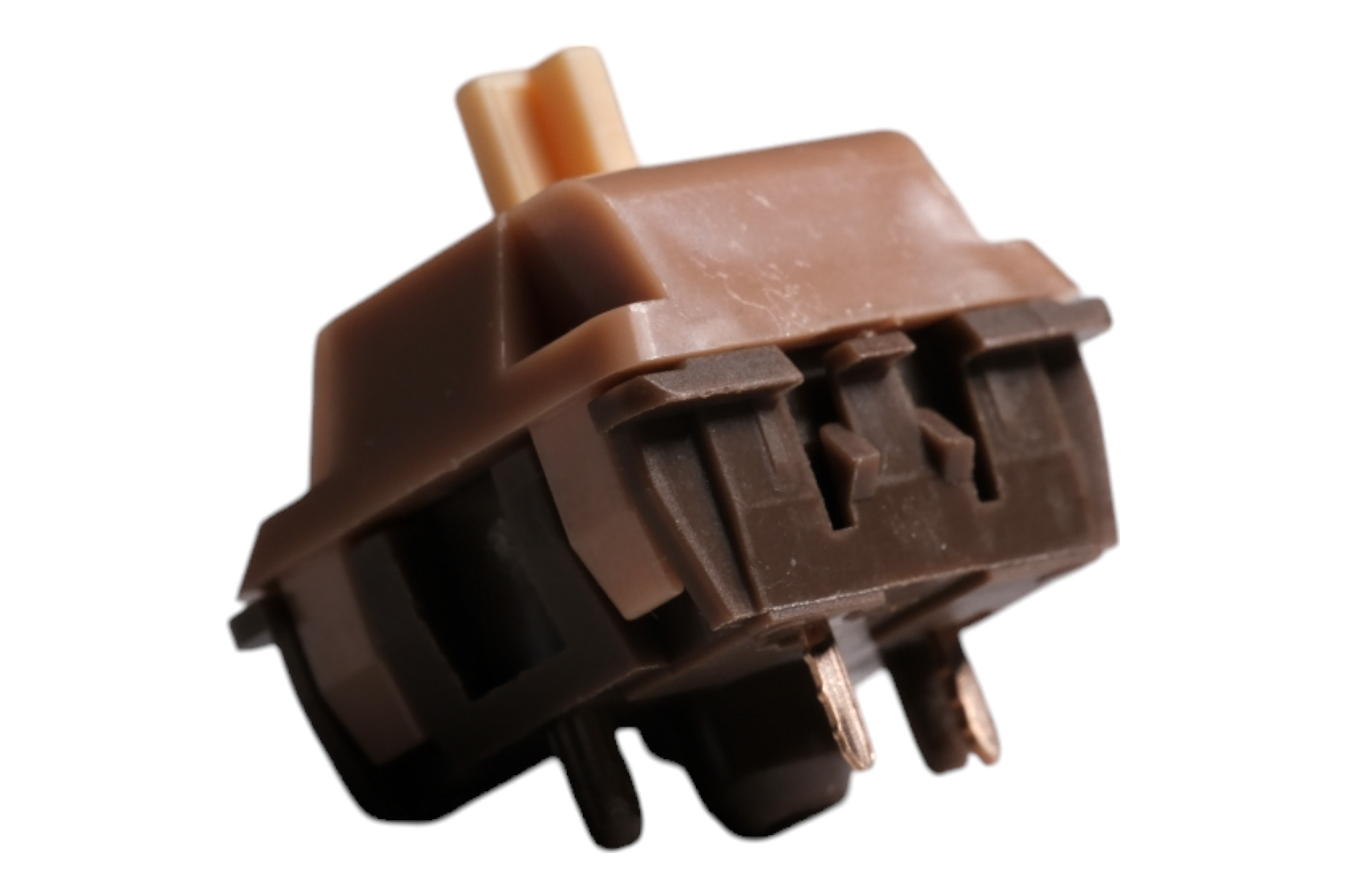 Brownie_2_xhrj5q.jpg