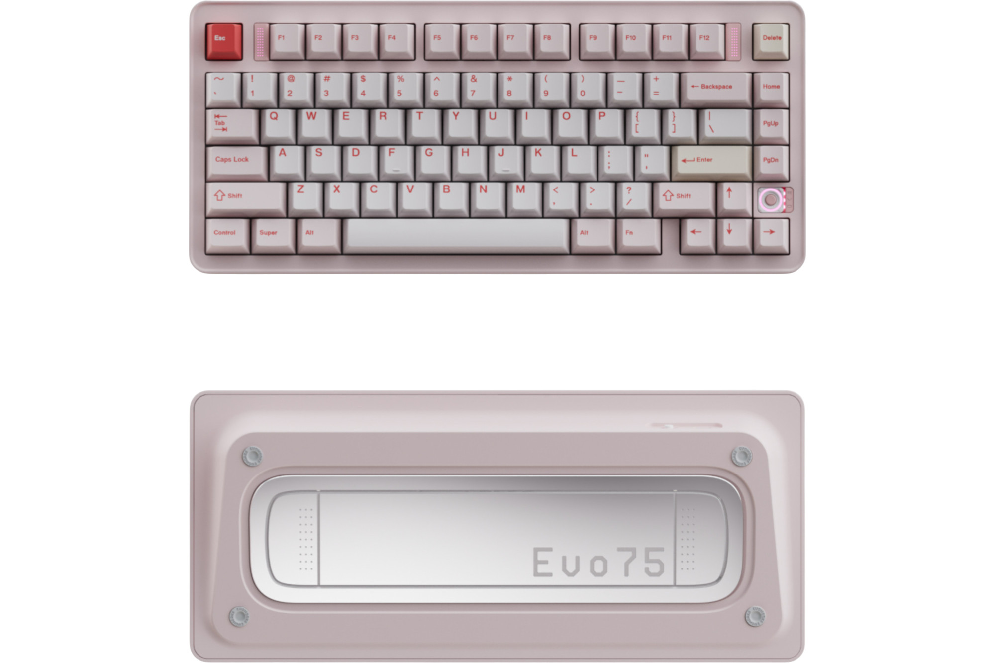 TICKTYPE EVOWORKS EVO80 サンドゴールド色 砂金色 Evoworks Sandgold Evo80 Keyboard · Milktooth