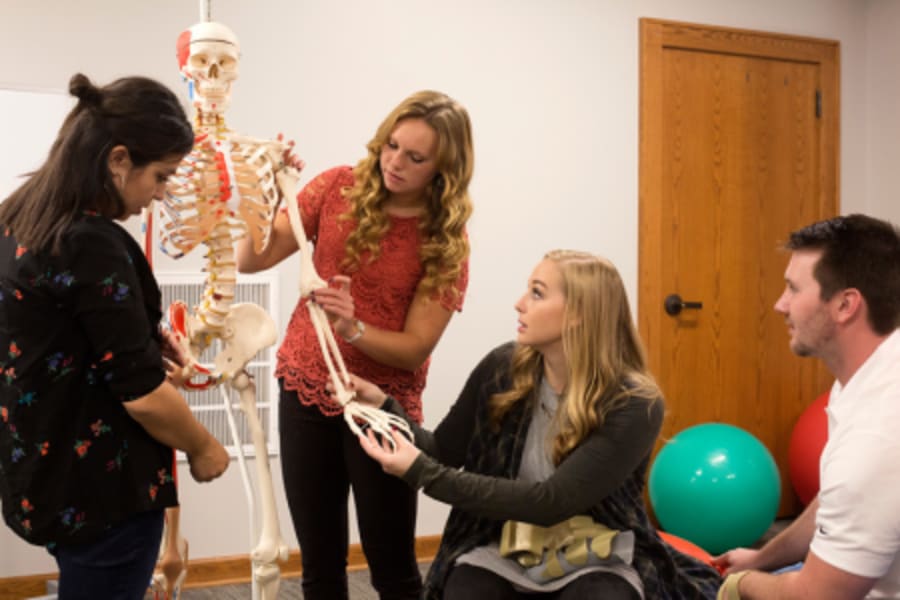 Occupational Therapy (MSOT) - Milligan University