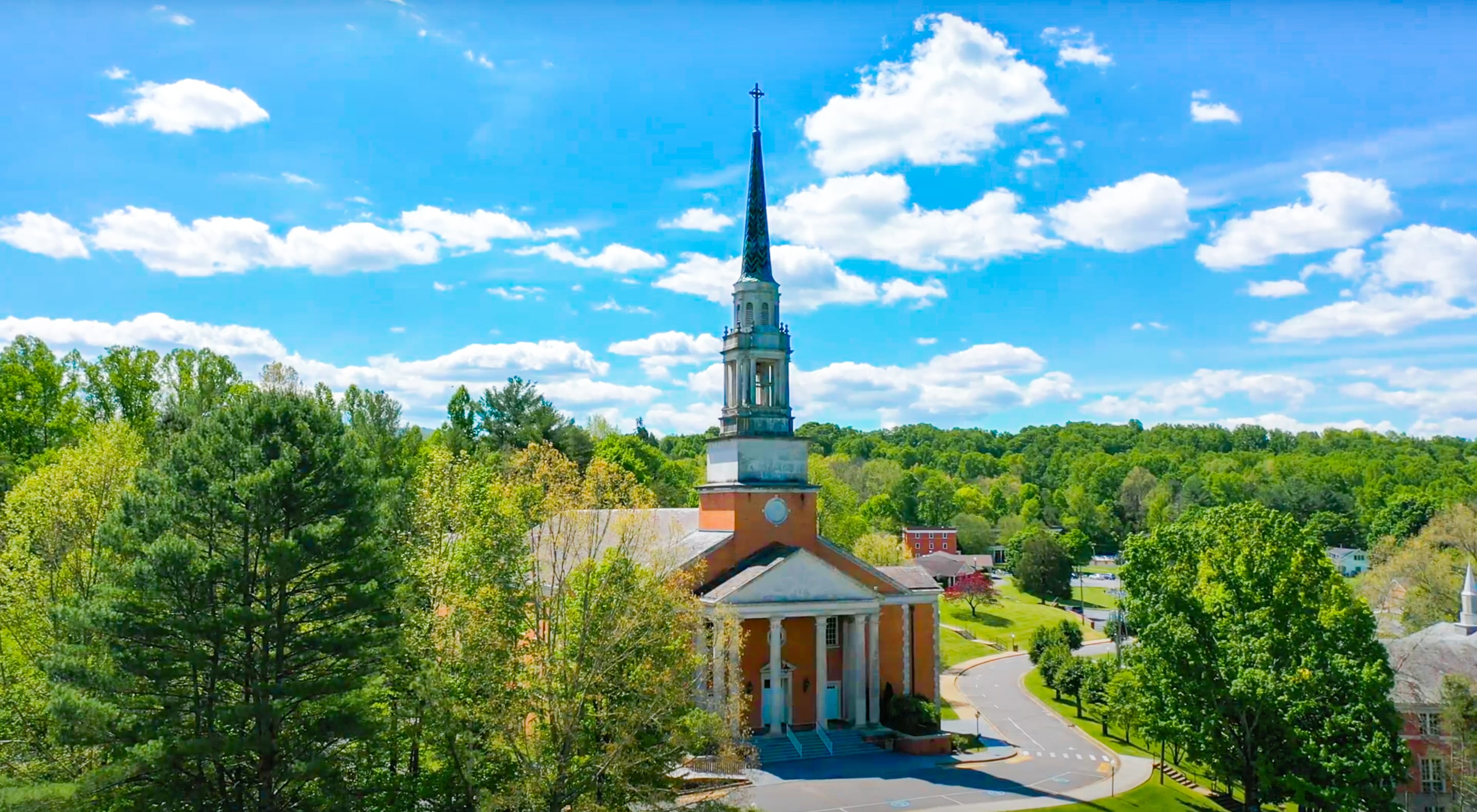 Seeger on a sunny day