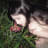 meinjune's profile