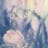 maleecab12's profile