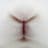 ୨ৎ's profile