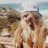 lils .ᐟ's profile