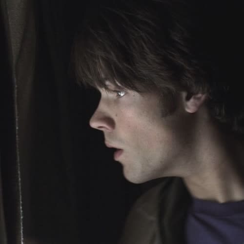 leo's profile