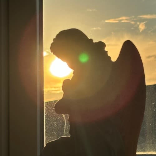 loveexposure's profile