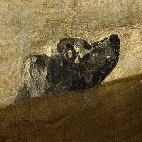 Didacus's profile