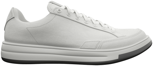 Shoe render