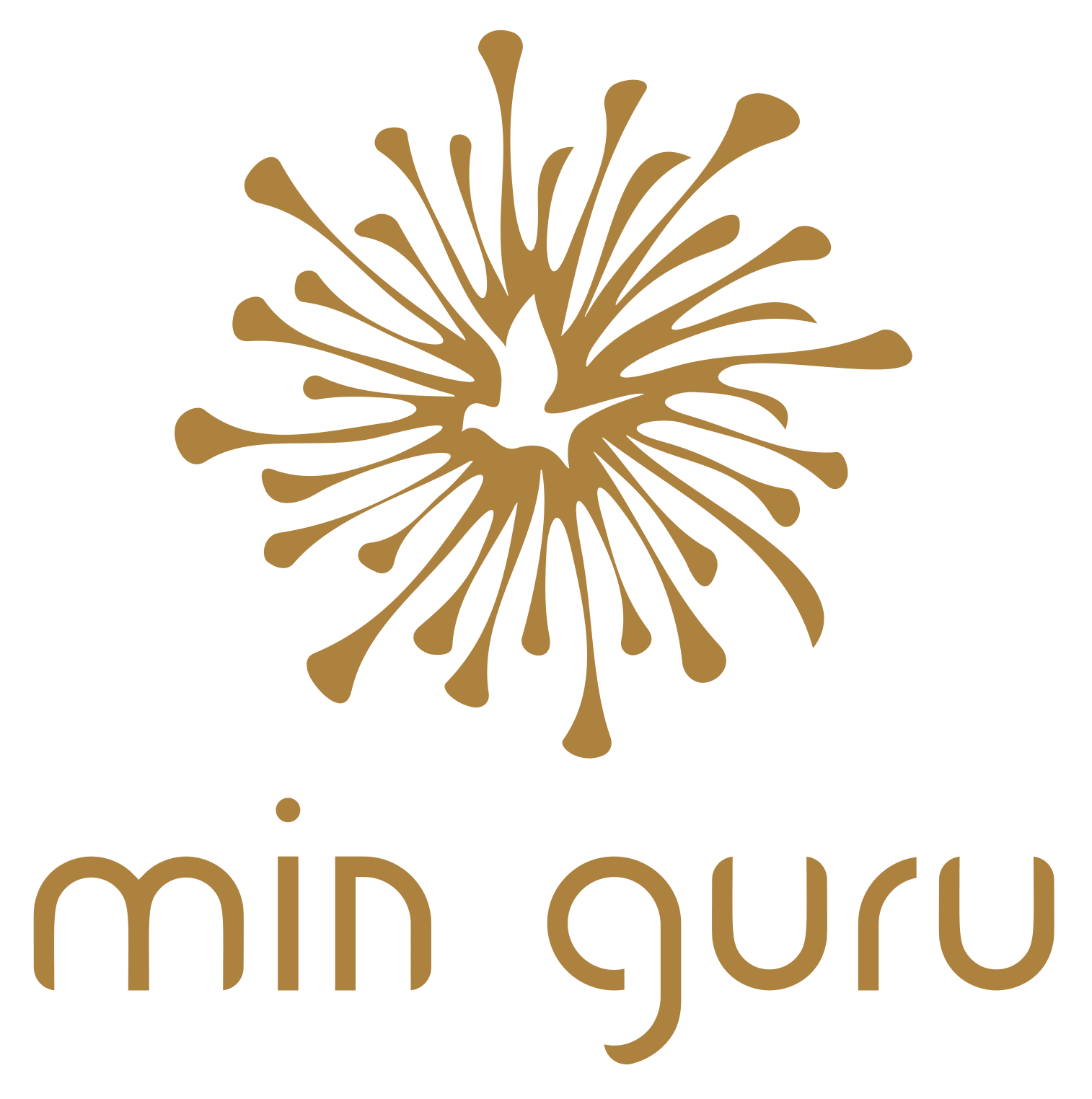 Min Guru