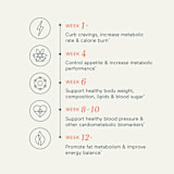 metabolism+ -- 2