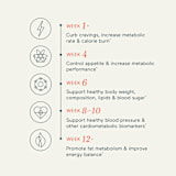 metabolism+ -- 3
