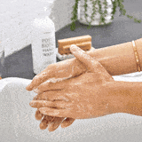 postbiotic hand wash (quarterly) -- 2