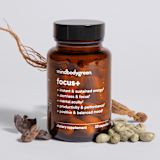 focus+ (semi-annual) -- 1