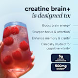 creatine brain+ with cognizin® -- 5