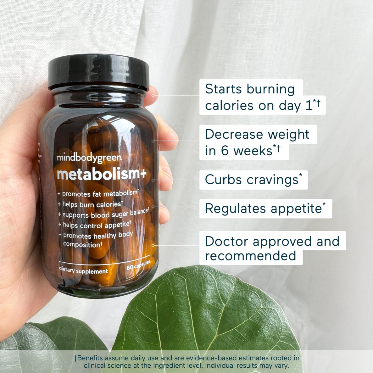 metabolism+  natural metabolism booster to promote fat burn