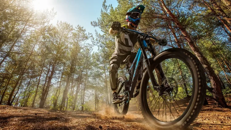lulea-sports-mountainbiking.jpg