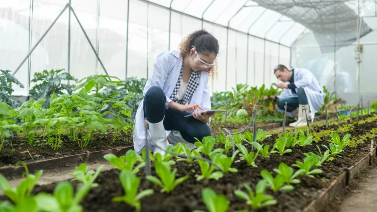 gallivare-careers-greenhouse.jpg